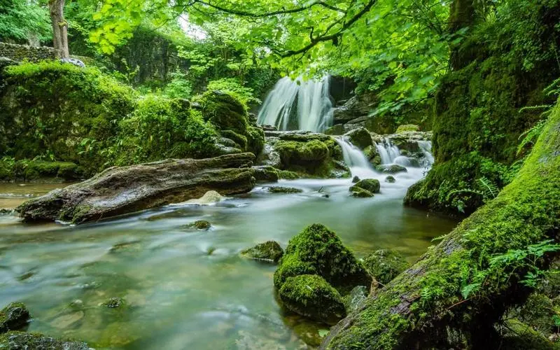 高性能自动化